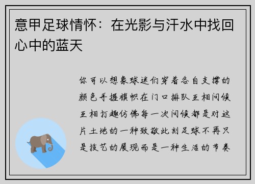 意甲足球情怀：在光影与汗水中找回心中的蓝天